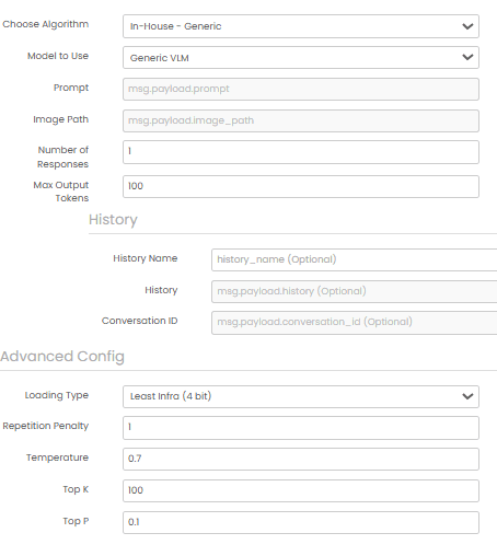 VLM Query configuration showing model and query options